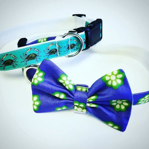 Dog Collar